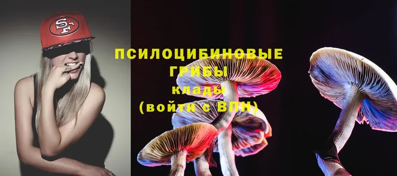 кракен зеркало  Пермь  Псилоцибиновые грибы Cubensis 